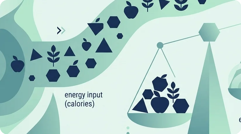 Why Do I Gain Weight So Easily Now?